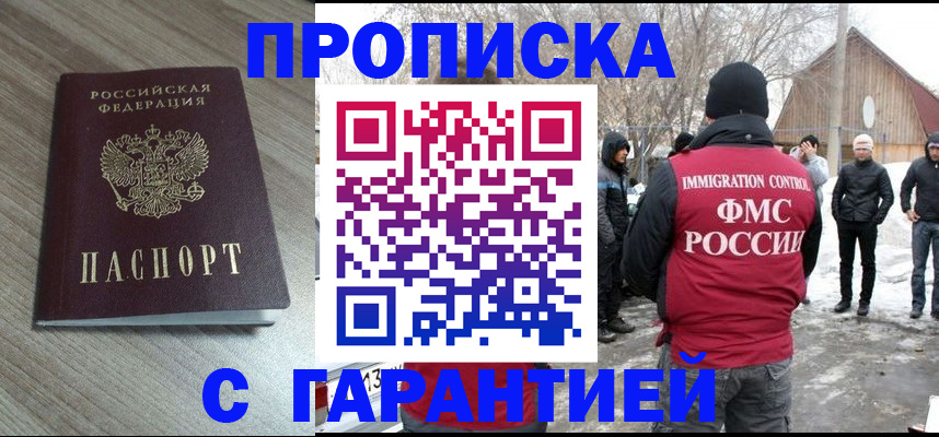 прописка 2025 в Мурино